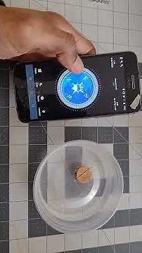 STEM Tutorial for kids and adults: How to make a DIY compass at home with a needle and a cork