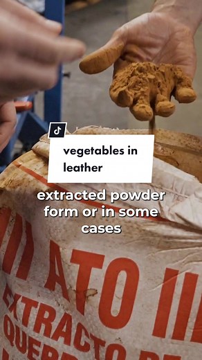 Tanner Leatherstein on TikTok