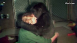 Can animals really communicate with humans? This woman is teaching a gorilla sign language in order to find out. | Mashable