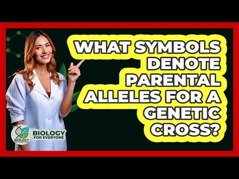 What Symbols Denote Parental Alleles For A Genetic Cross?