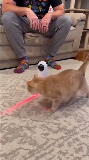 Automatic Cat Toy | Interactive Smart LED Laser with 360° Movement
