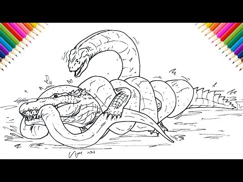 Titanoboa vs Nile Crocodile How to Draw