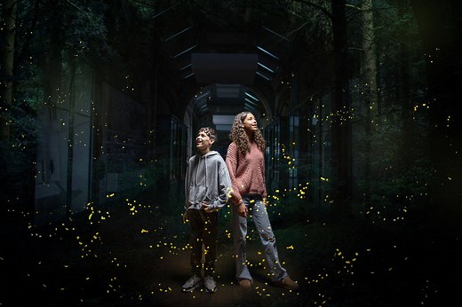 The Natural History Museum Is Launching An Immersive Experience That Shows Guests The Future Of The Natural World