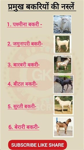 🐐👈 प्रमुख बकरी की नस्लें | Major goat breeds #goat #goatbreeds #viral #shorts #gk