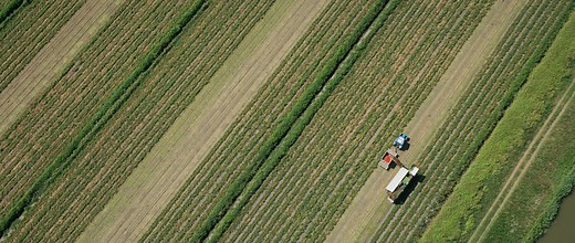 Upptäck de klassiska tomaterna direkt från Italien | Mutti