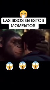 268K views · 1.1K reactions | Las sisos en estos momentos #sisos #sst #hst #elpintorstereo | el pintor stereo | Facebook