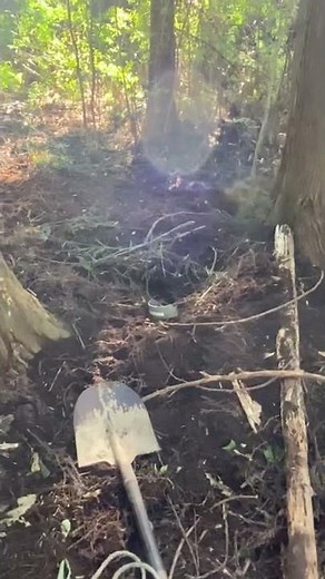 イノシシ捕獲 罠に バットで叩かれる！！ 有害駆除