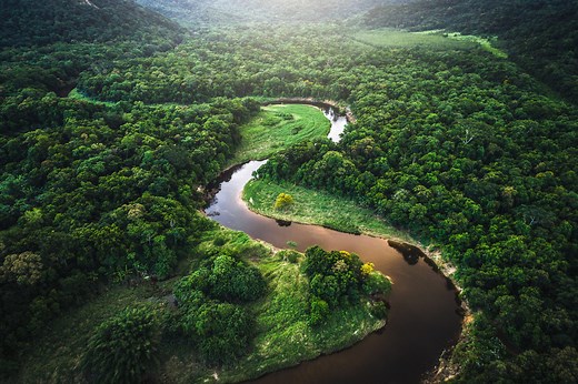 These 4 Reasons Explain Why We Desperately Need the Amazon Rainforest