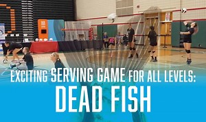 Exciting serving game for all levels: Dead fish