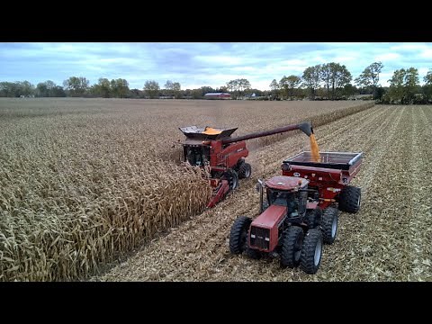 Corn Harvest 2025