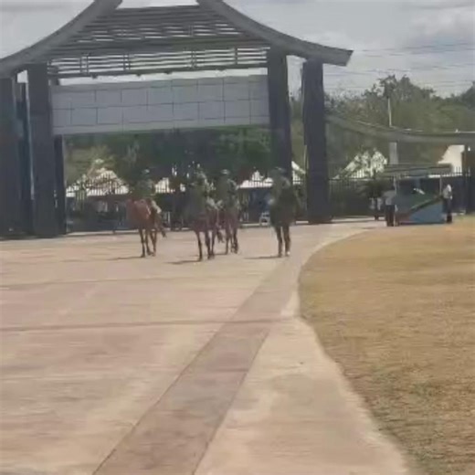 5.2K views · 79 reactions | Mounted police officers are on patrol at The Benjamin Mkapa Stadium, ensuring the safety of fans, players, and match officials. | Standard Digital | Facebook