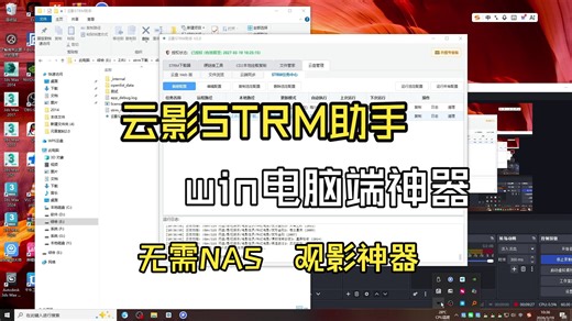 云影STRM助手 115-strm规避风险无NAS纯电脑端观影神器操作简单小白专属无需公网服务器直接本地观看带UI界面