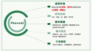 作物表型自动化分析系统PhenoAI