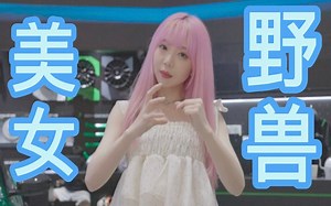 【MG】美少女与ppap | 一起来和美少女解题名爵方程式吧！