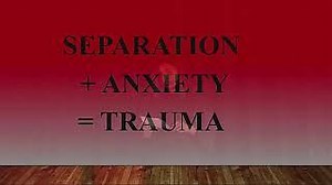 What is Trauma: A Personal Experience of Family Separation