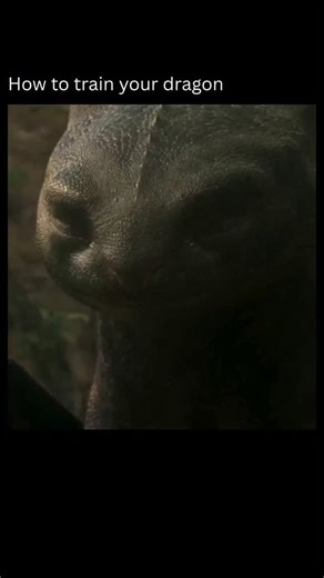 Movie Nation on Instagram: "Toothless is adorable even in live action How to Train Your Dragon (2010) is a breathtaking animated fantasy adventure that soars on emotion, imagination, and heart — introducing one of animation’s most beloved characters: Toothless. Produced by DreamWorks Animation and directed by Chris Sanders and Dean DeBlois, the film blends epic world-building with a deeply personal coming-of-age story. Set in the rugged Viking village of Berk, the story follows Hiccup Horrendous