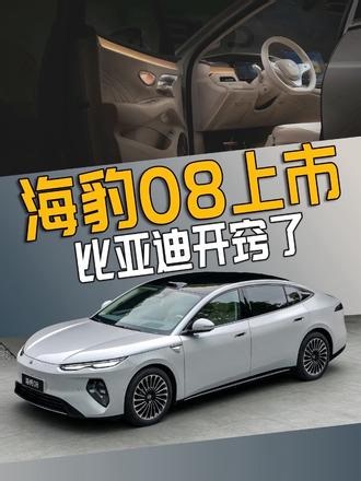 比亚迪终于开窍了！ 海豹08上市，真能打！#海豹08
