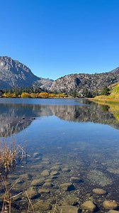 Gull Lake today!!! 😎 Fall colors are peaking in the June Lake Loop. View our updated fall color report at MonoCounty.org/Things-to-do/fall-colors | Mono County Tourism