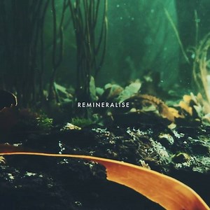 VOYA is back at Aqua Sana Spa Woburn Forest. You loved our pop up spa with VOYA earlier this year, so we're welcoming the award-winning organic seaweed skincare brand back. Fellow ocean lovers, say hello to organic luxury skincare from the sea...http://bit.ly/2j6ZYcI | Aqua Sana Forest Spa