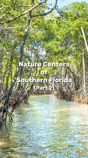 Nature Centers of Southern Florida (Pt 2) #natureinyourstate