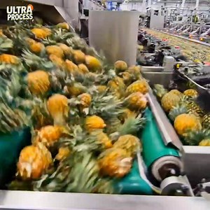 7.7M views · 121K reactions | Modern pineapple factory with natural taste modern technology | Ultra Process | Facebook