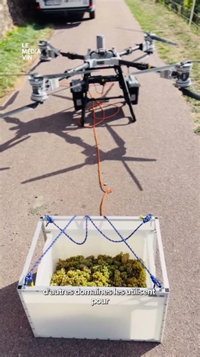 Des drones au coeur des vignobles ! 🚁