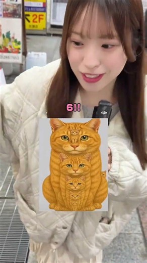 How many cats are there?