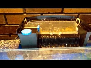 Seachem Tidal filter review