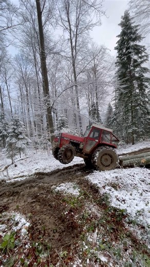 THE TRACTOR IS PULLING LOGS THROUGH THE SNOWY FOREST