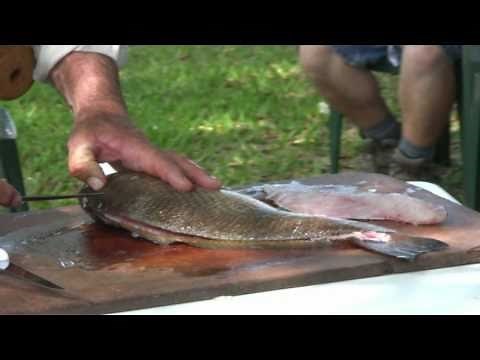 How to Fillet a Redfish