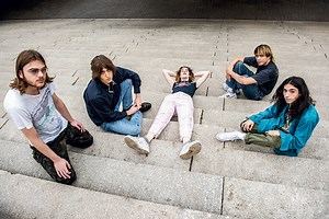 Geese on “Projector”