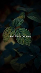 Main Dhoondne Ko Zamaane Mein 🥺❤️‍🩹 - Aesthetic Status | Sad Whatsapp Status | #sad #lyricsstatus
