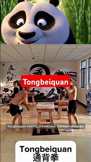 Tongbeiquan: The Art of Power and Speed from the Back