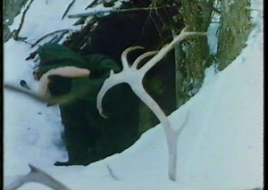 Never Cry Wolf (1983) Trailer