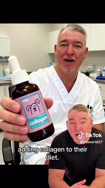 THIS is what happens when small problems get ignored for TOO LONG…🐱‼️🚨 #cathealthtips #cattips #cats #usa #vet