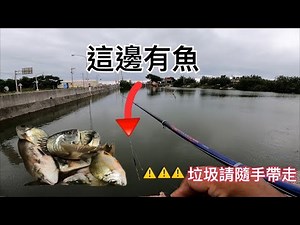 路邊磯釣釣點 停車就可以拉爽爽 上來的都是正貨 （垃圾記得隨手帶回去）#秋潮
