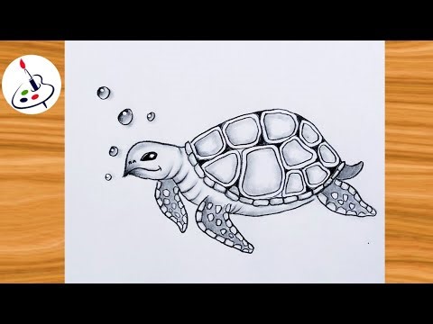 How to draw a Turtle step by step 🐢🐢||Simple Pencil Sketch||Easy Drawing ideas for Beginners