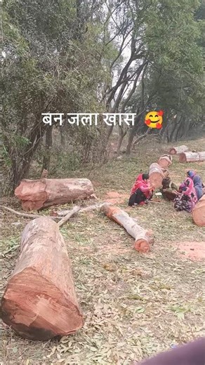 बन जाला खास कोई #भोजपुरी #गीत #प्यार #हिंदीगीत #डुएट #emostional #empac #ereleases #essbase