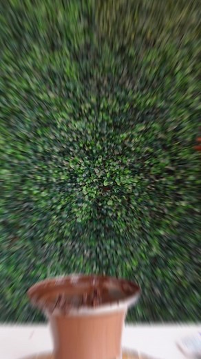 Again Tried Chocolate Fountain⛲️#Chocolate #Fountain #ChocolateFountain #Gadgets #AmazonFinds #Amazon #AmazonGadgets #KitchenGadgets #Reels #FoodReels #Tasty #Recipe #EasyRecipe #VegRecipes #Yummy #Food #Foodie #FoodBlogger #ReelKaroFeelKaro #ReelItFeelIt #Viral #TrendingReels #Fun2ooshFood | Fun2oosh Food