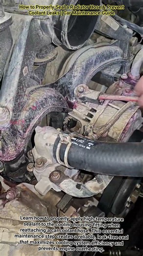 How to Properly Seal a Radiator Hose & Prevent Coolant Leaks #shorts #mechanic #automobile