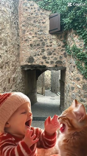 Chat et un bébé 😍