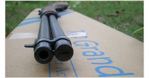 Gun Review: The Rossi Rio Grande