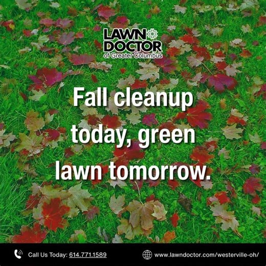 🍁 Don’t Skip Fall Lawn Care! 🍂