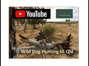 Wild Dog Hunting Australia SE Qld