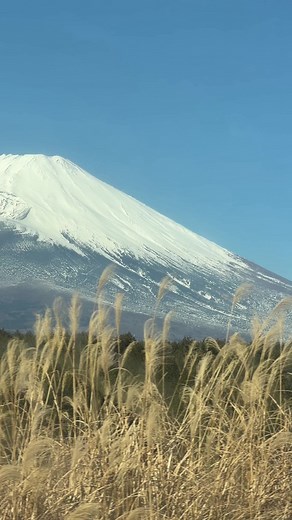 Keindahan Gunung Fuji dalam Budaya Jepang