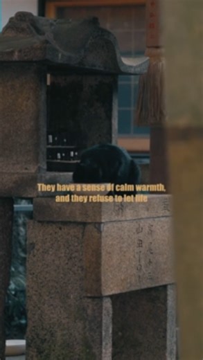 A moment of existentialism: What it reveals about life