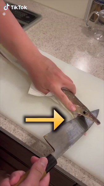 Japanese fish craftsmen do this with overseas technology #トミック #トミックさんって誰❓ #fyp #tomikkunet #cooking #japanesefood #seafood #youtuber