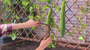 Hidden Garden Secrets: Tricks That Actually Work | 3-Minute Hacks