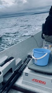 138K views · 800 reactions | Did you know that Dungeness Crabs are named after the port of Dungeness, Washington where they were first commercially fished? Big, meaty and delicious these crabs are plentiful in the Puget Sound region. | Fishing with Seabass | Facebook