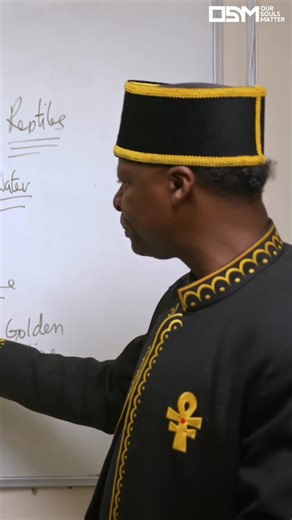 Dolphin Genes: The Journey to Humanoids Revealed